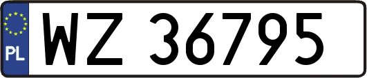WZ36795