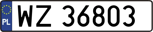 WZ36803