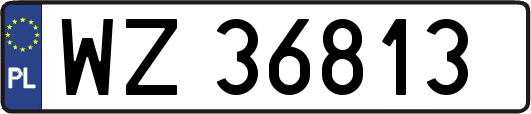 WZ36813