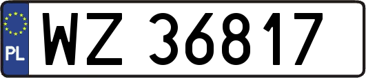 WZ36817