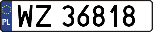 WZ36818