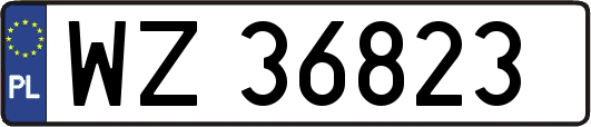 WZ36823