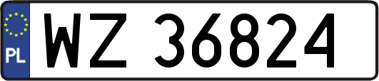 WZ36824