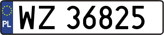 WZ36825