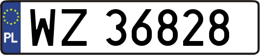 WZ36828