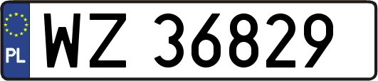 WZ36829