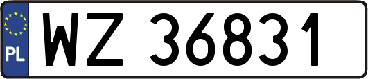 WZ36831