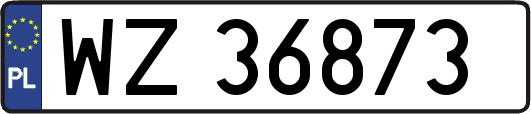 WZ36873