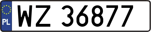 WZ36877