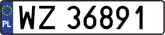 WZ36891