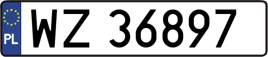 WZ36897