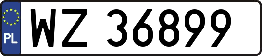 WZ36899