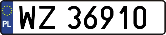 WZ36910