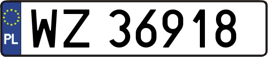 WZ36918