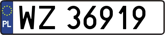 WZ36919