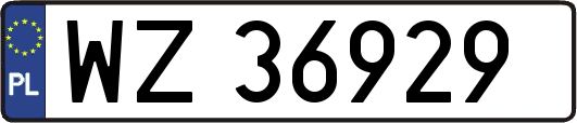 WZ36929