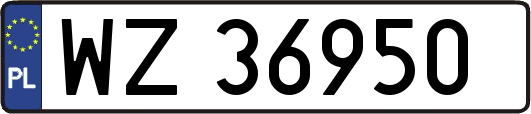 WZ36950