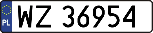 WZ36954