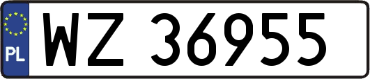 WZ36955