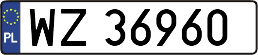 WZ36960