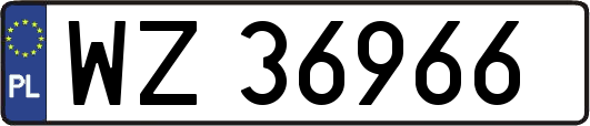 WZ36966