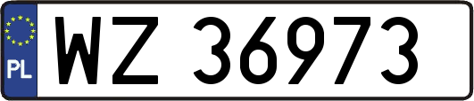 WZ36973