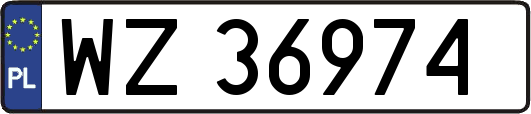 WZ36974
