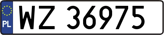 WZ36975
