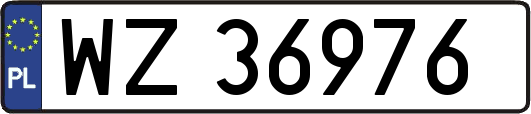 WZ36976