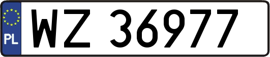 WZ36977