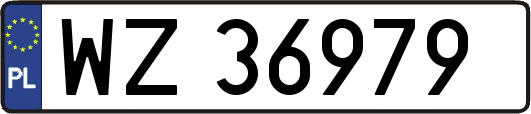 WZ36979
