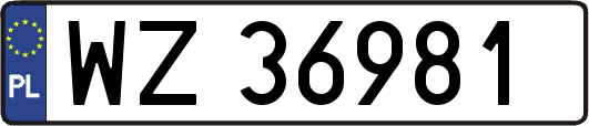 WZ36981
