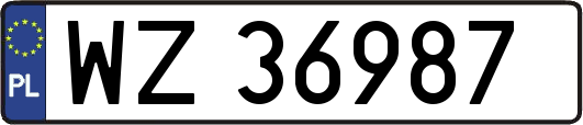 WZ36987