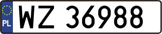 WZ36988