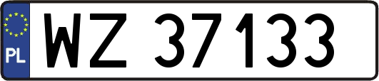 WZ37133