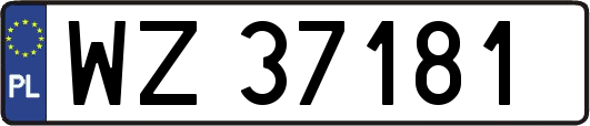WZ37181