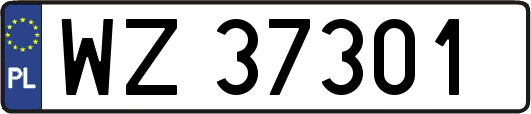 WZ37301