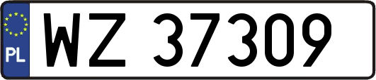 WZ37309