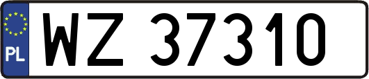 WZ37310