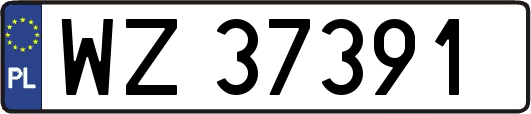 WZ37391