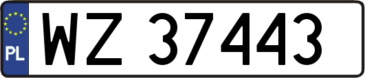 WZ37443