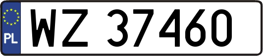 WZ37460