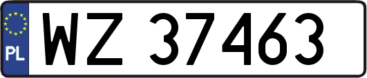 WZ37463