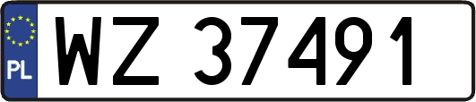 WZ37491
