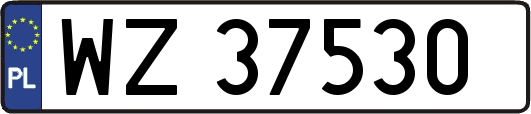 WZ37530