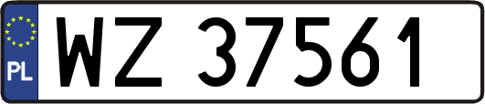 WZ37561