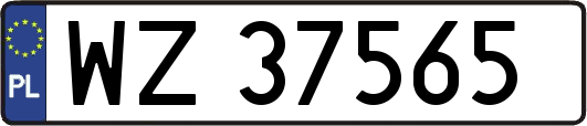 WZ37565