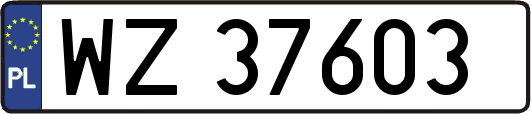 WZ37603