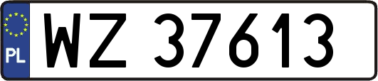 WZ37613