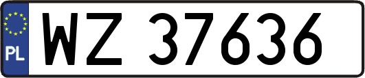 WZ37636